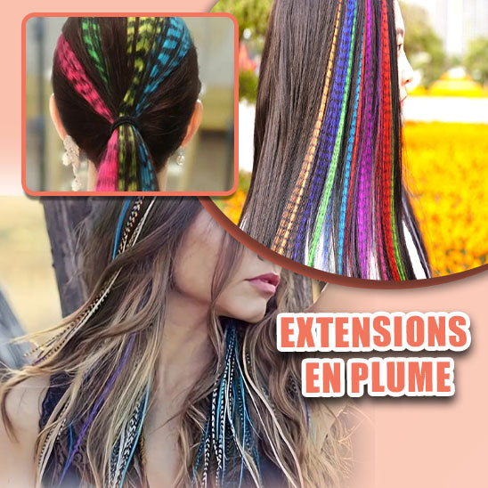 Extensions cheveux